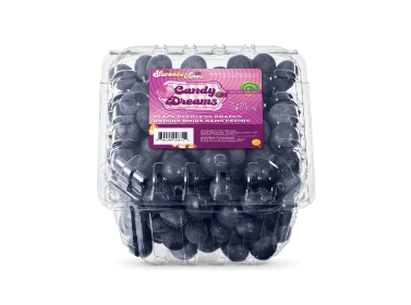 candy dreams thumbnail