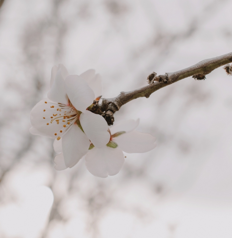 contact header responsive bg