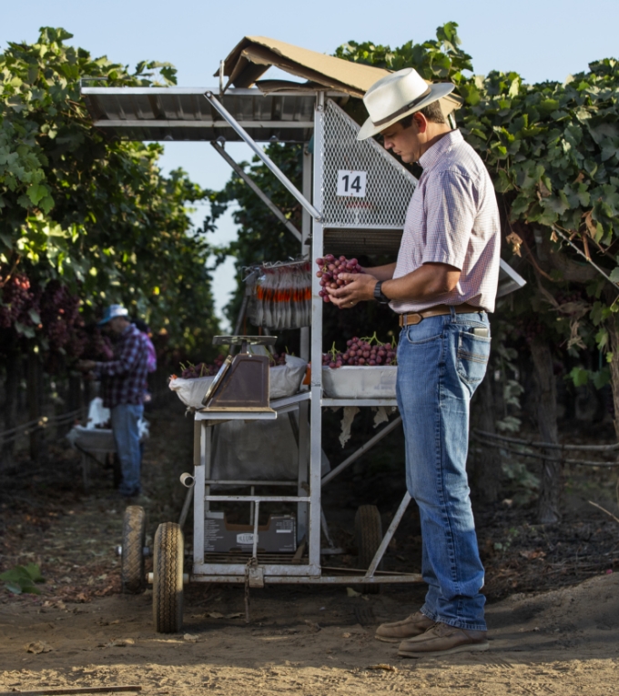 direct farm management