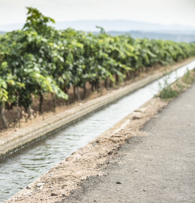 illume water management