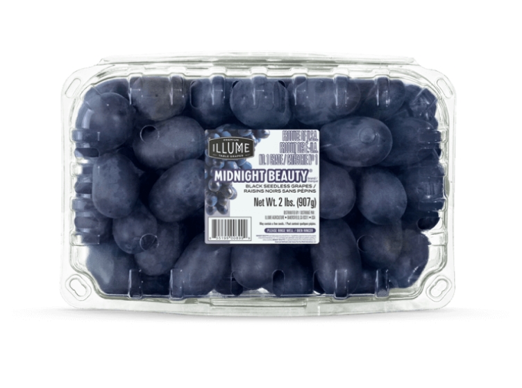 midnight beauty thumbnail