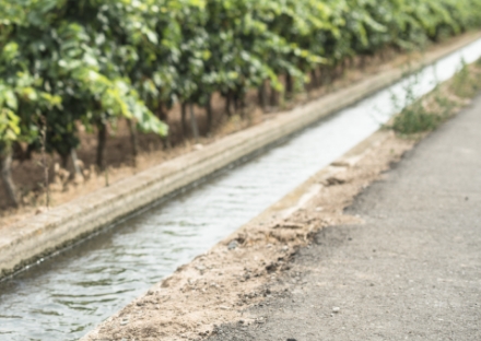 water-management-menu-thumbnail