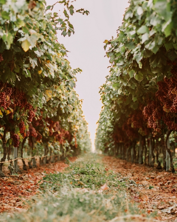 top quality investment management services