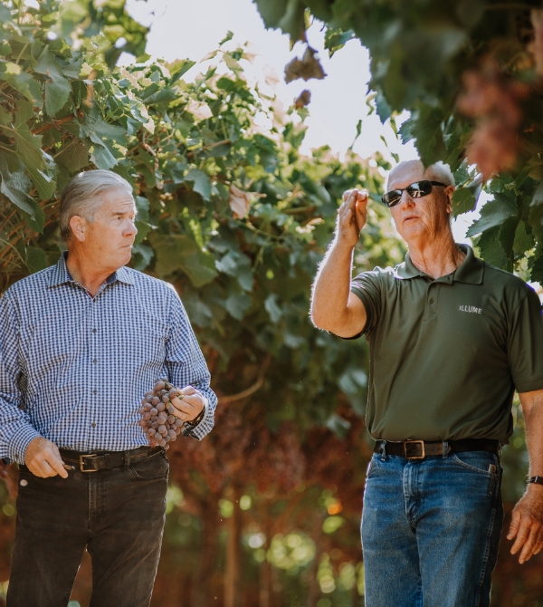 benefits of partnering with Illume updated