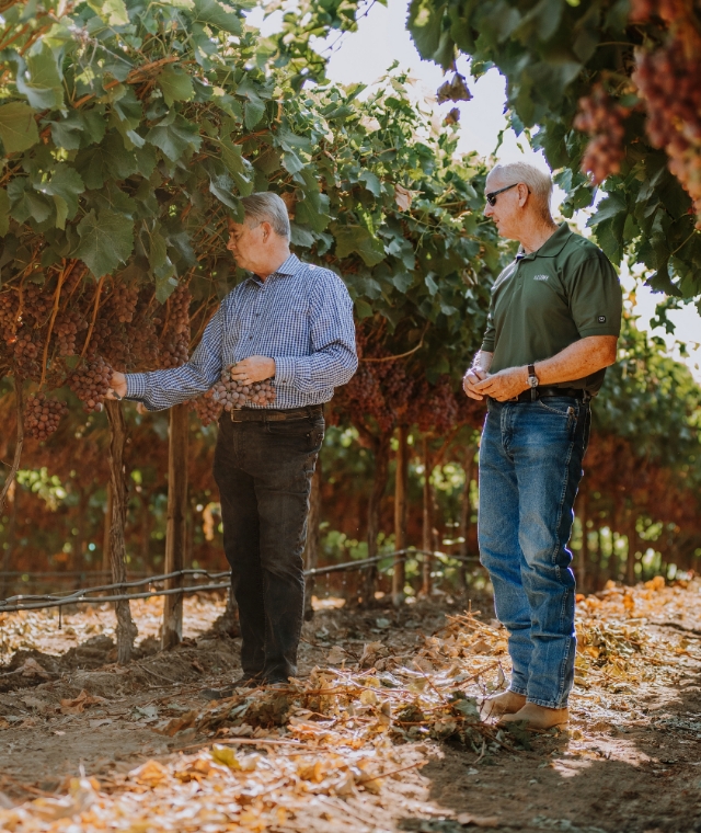 illume agricultural investment updated