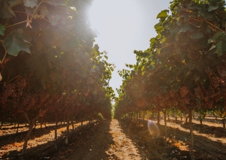 our-history-megamenu-updated